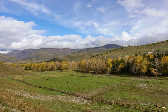 新疆旅游美景