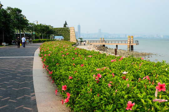 深圳湾公园