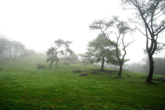 八排山云雾