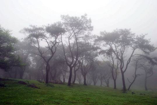 八排山雨雾