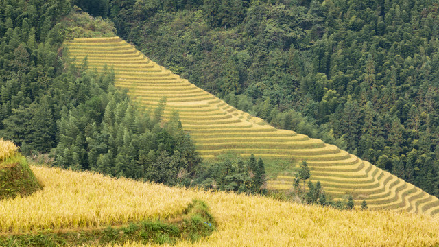 龙脊梯田自然景观