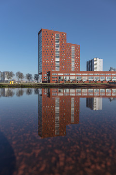 荷兰鹿特丹都市