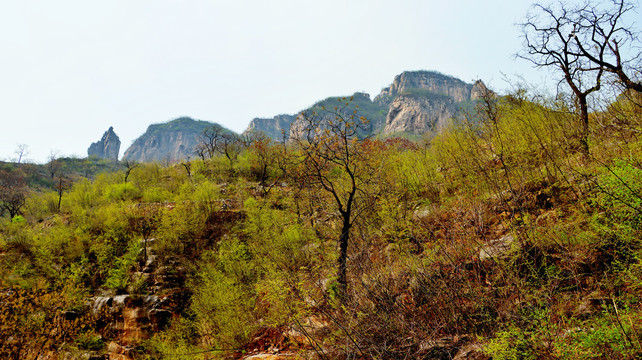 太行山春色