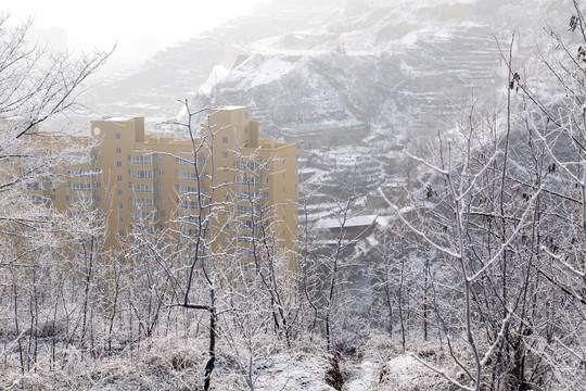 雪景