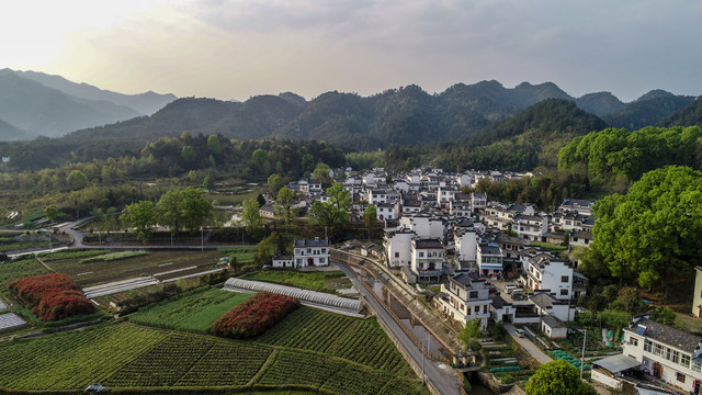 美丽乡村琶塘