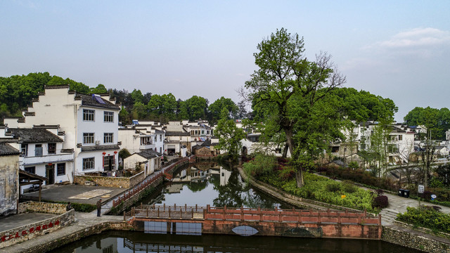 美丽乡村琶塘