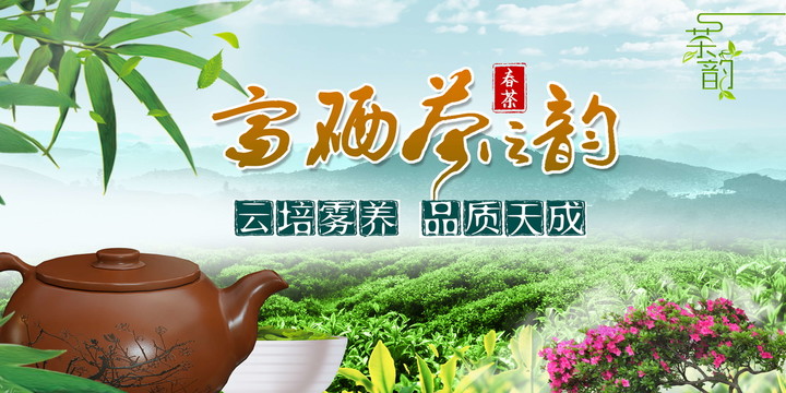 舌尖上的茶韵