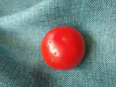 静物鲜红番茄
