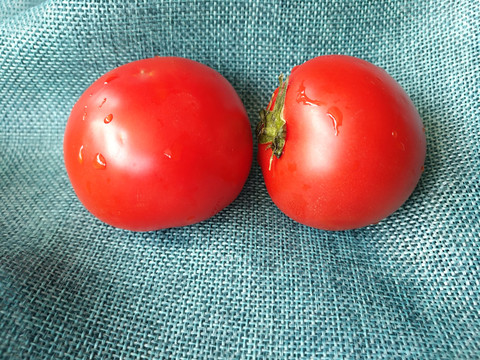 两只鲜红番茄