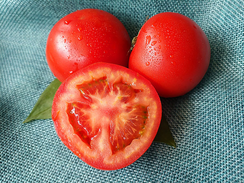 拍摄鲜红番茄