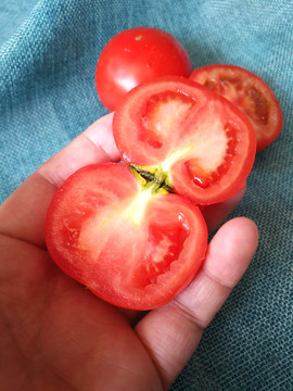 鲜红番茄蔬果