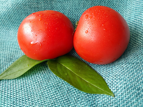 鲜红西红柿素材