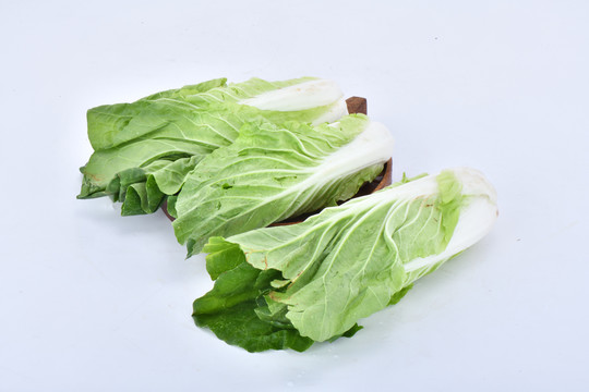 大白菜