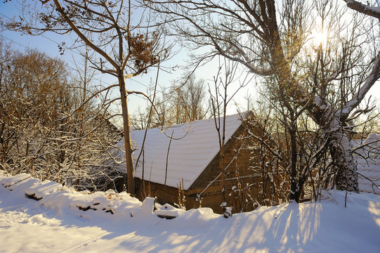 雪后的农村老房子