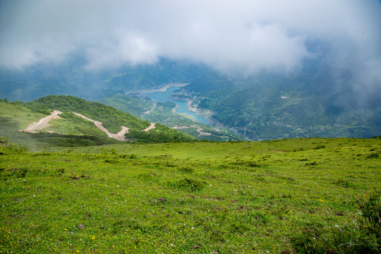 高原牧场