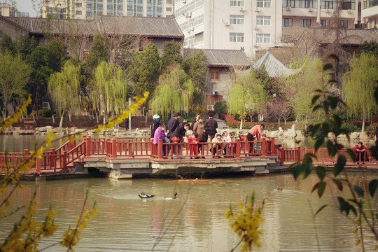 新浦公园廊桥游客喂鱼
