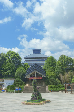 武夷山山茶体验馆
