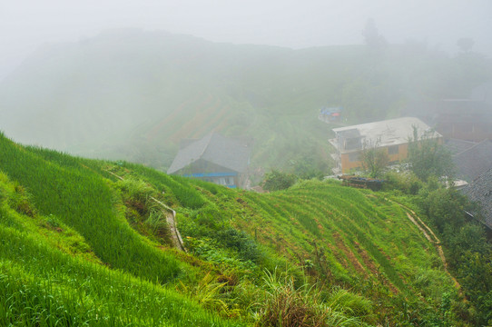 桂林龙脊梯田景区