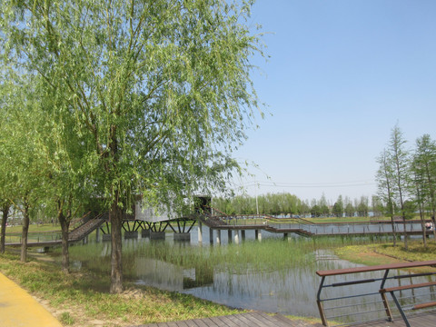 北龙湖湿地公园