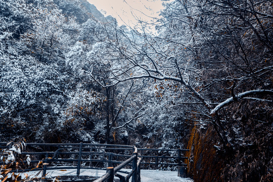 栈道雪景