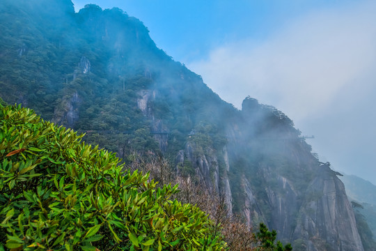 三清山雾山