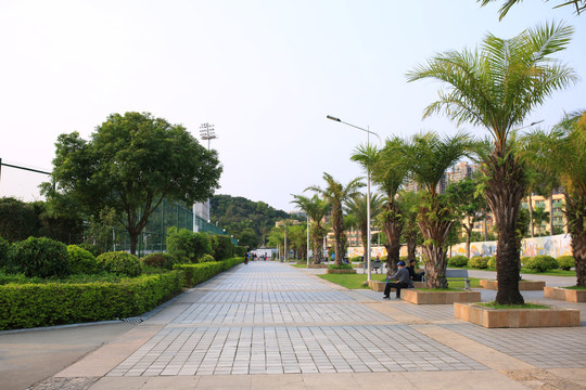 公园路灯
