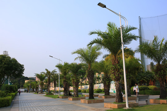 公园路灯