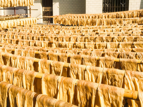 腐竹传统大豆制品食品加工晾晒