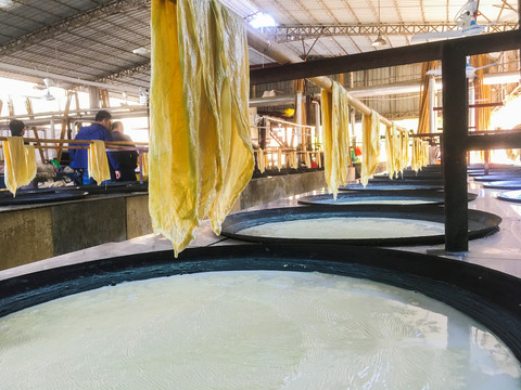 腐竹传统大豆制品食品加工作坊