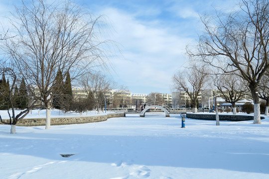 冬季小区雪景