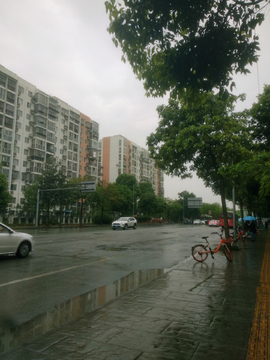 街头道路风景