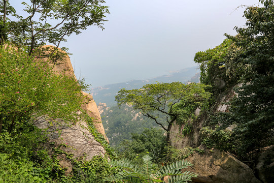 山东青岛崂山仰口风光