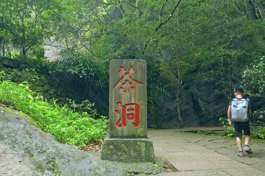 武夷山茶洞