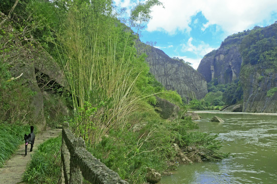 溪边自然风景