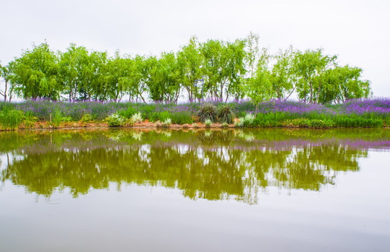 滇池湿地