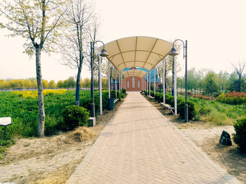 公园景观