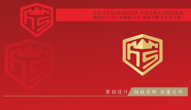 HS字母LOGO