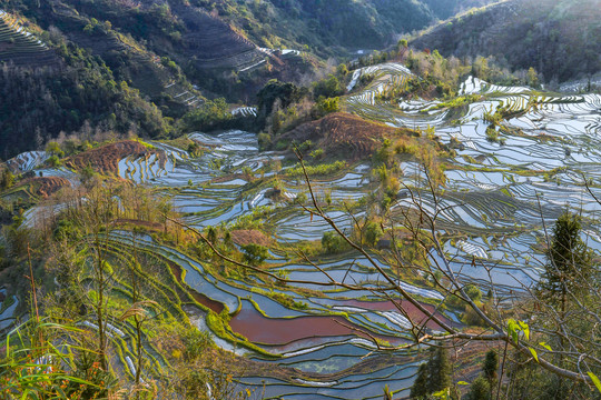 元阳梯田