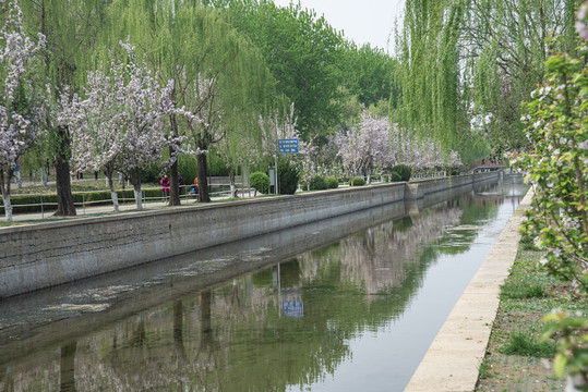 北京海棠花溪
