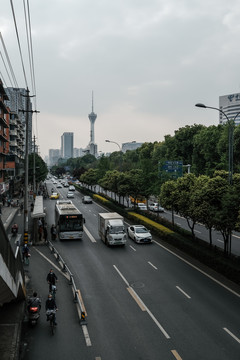 交通大道