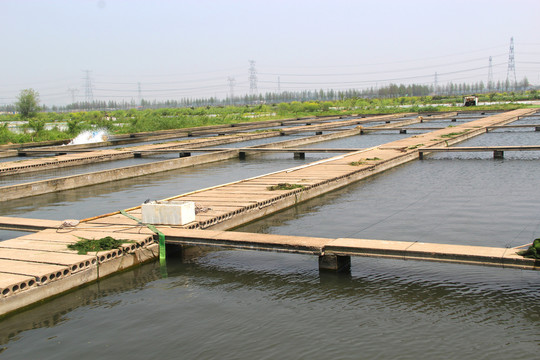 水产养殖基地