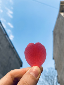 花瓣
