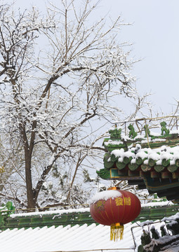 后海的雪