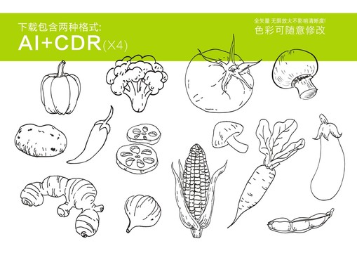 蔬菜手绘果蔬线描蔬菜矢量图形