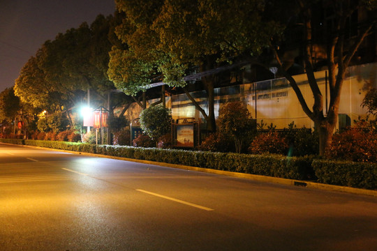 魔都夜晚马路灯光照