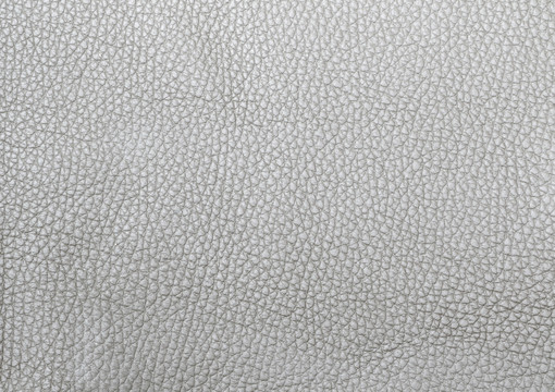 皮纹