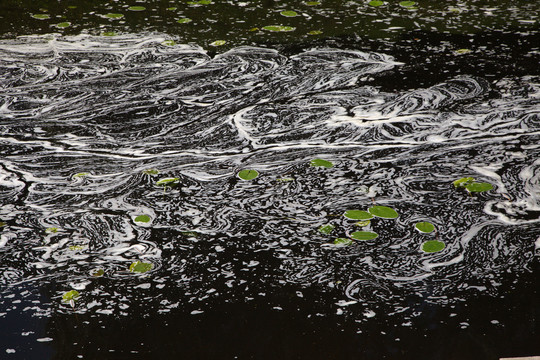 水花