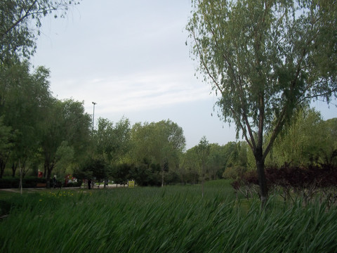 公园一景