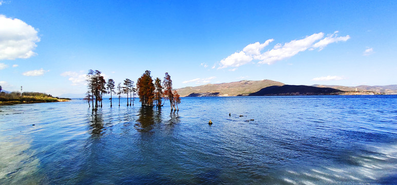 云南洱海绚丽美景