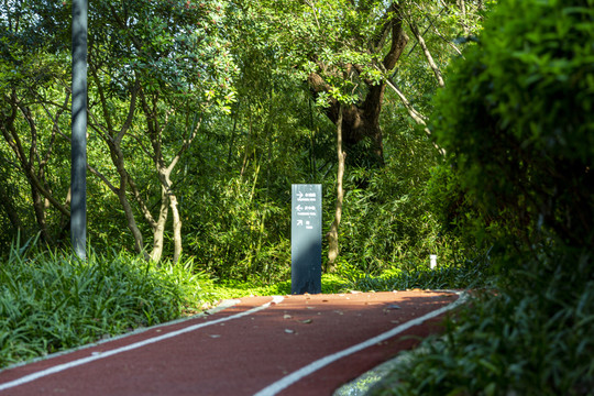 长宁绿化步廊